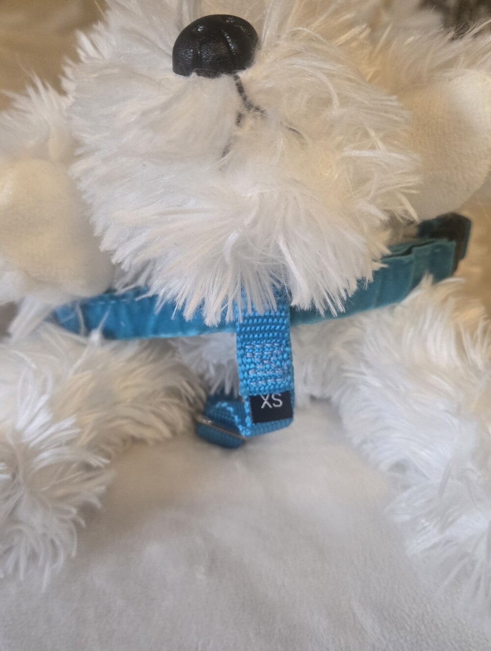 2 Hounds No Pull Harness And Leash